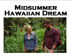 Midsummer Hawaiian Dream